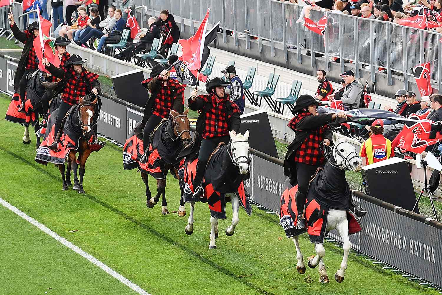New Zealand's Crusaders Retire Iconic Matchday Horses After Nearly 30 Years, Citing Safety Concerns